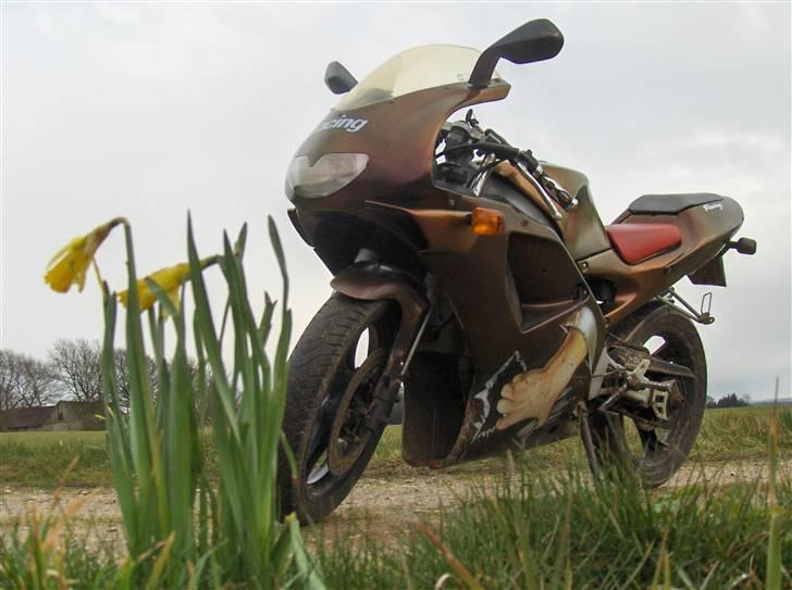 Aprilia RS50 - solgt billede 14