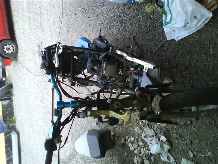 Texas Free 50/4 projekt sælges billede 4