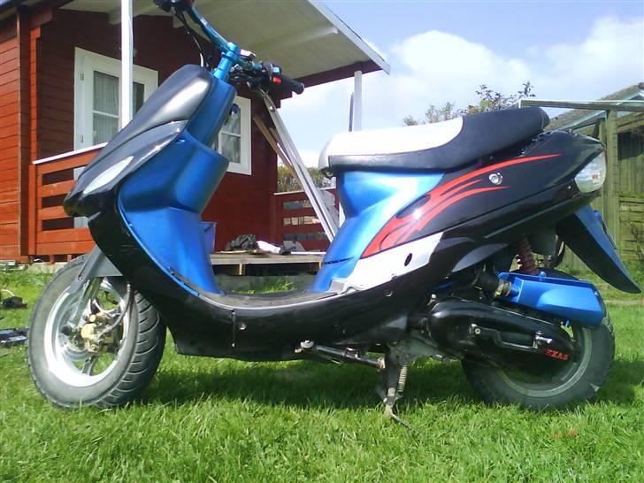 Texas Free 50/4 projekt sælges billede 8