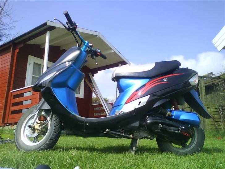 Texas Free 50/4 projekt sælges billede 10