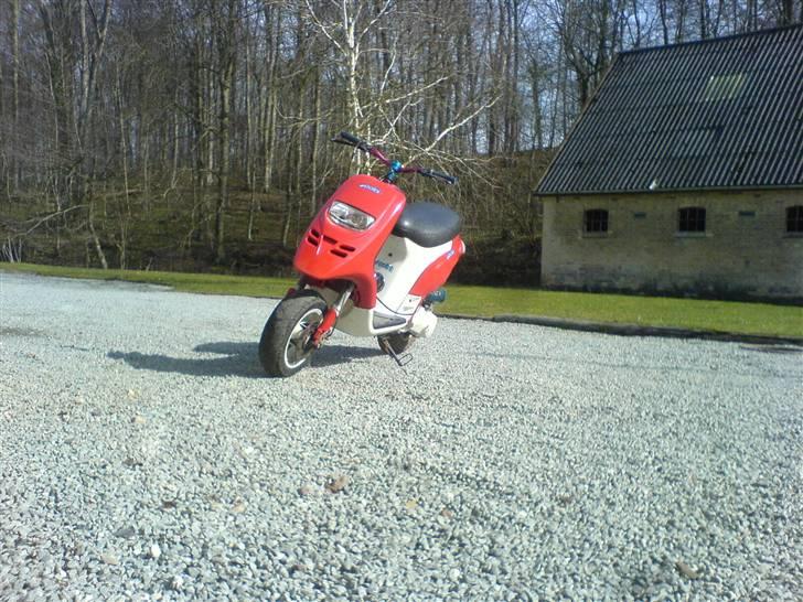 Piaggio typhoon solgt billede 12