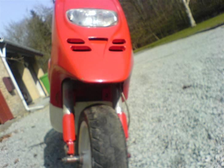 Piaggio typhoon solgt billede 13