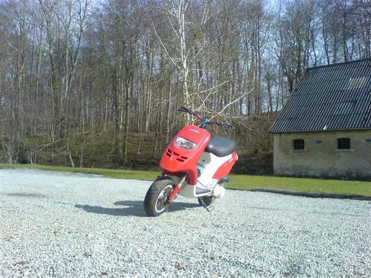 Piaggio typhoon solgt billede 14