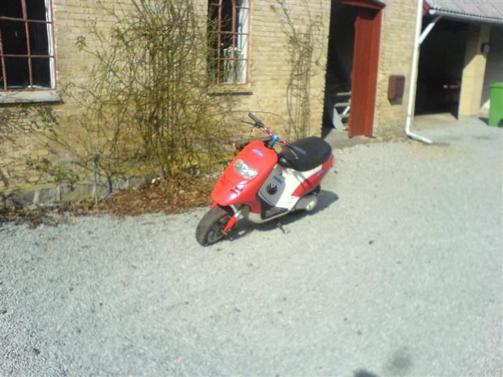 Piaggio typhoon solgt billede 16