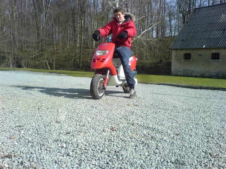 Piaggio typhoon solgt billede 17