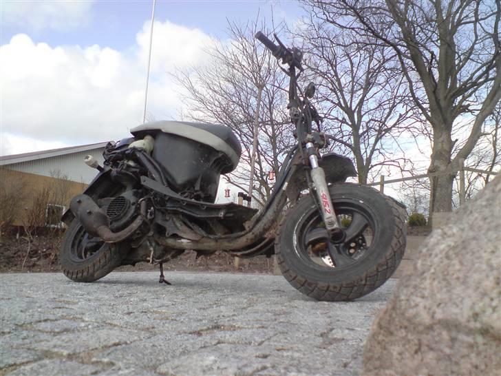 Honda Sfx  billede 1