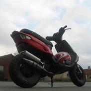 Gilera Stalker *Projekt*