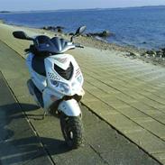 Peugeot speet fight 2 