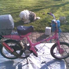 Honda express ( Byttet )