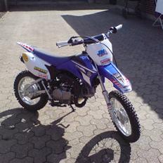 Yamaha Ttr 110