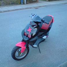 PGO PMX sport ( BYTTET )