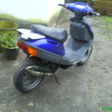 Adly silverfox solgt