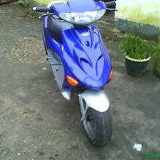 Adly silverfox solgt