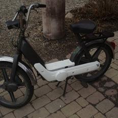 Vespa caio 1975 =SOLGT=