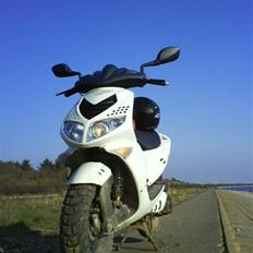 Peugeot speet fight 2 