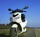 Peugeot speet fight 2 