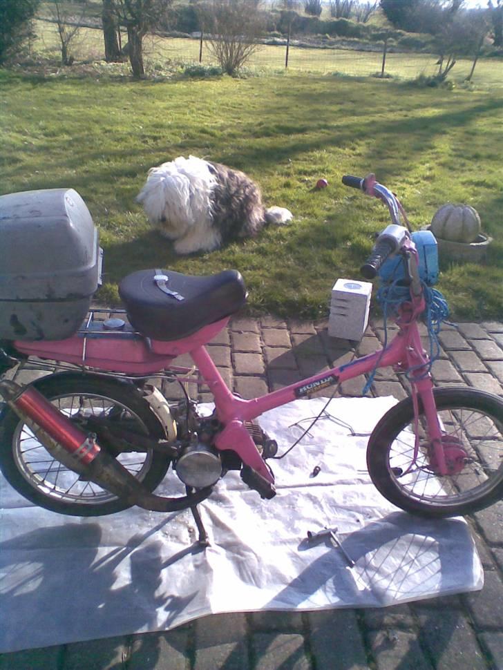 Honda express ( Byttet ) - Den lækre skat set fra højre. læg mærke til den nice udst billede 2