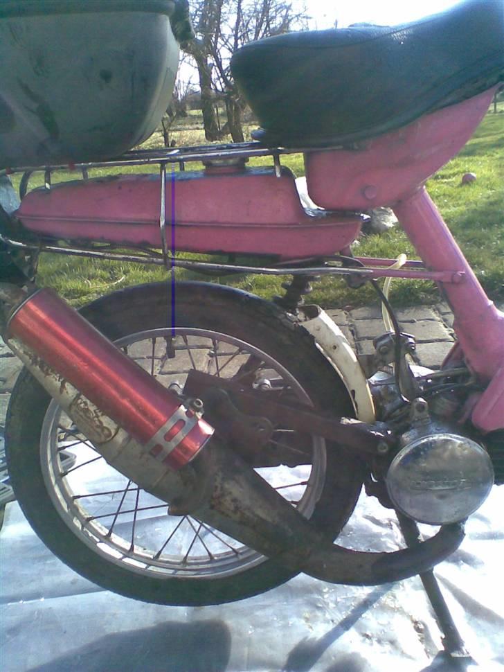 Honda express ( Byttet ) - verdens fedeste udst til honda express billede 7