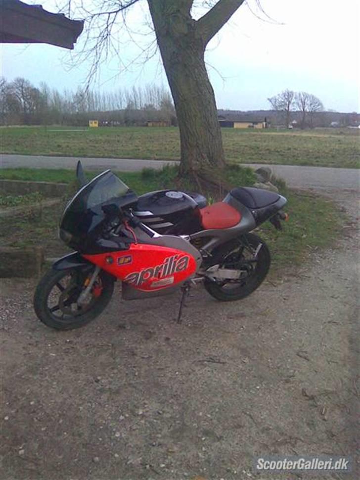 Aprilia Rs50 LC DD Byttet billede 2