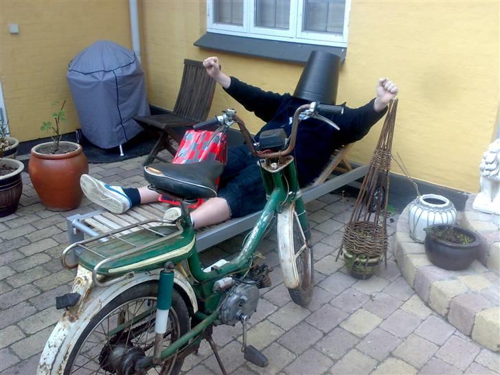 Honda neger billede 2