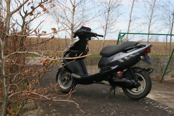 PGO Dr. Big - Malossi MHR billede 9