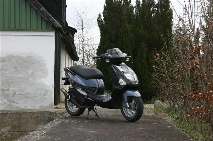 PGO Dr. Big - Malossi MHR billede 12