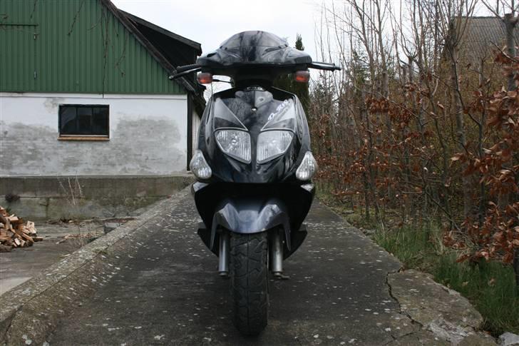 PGO Dr. Big - Malossi MHR billede 13