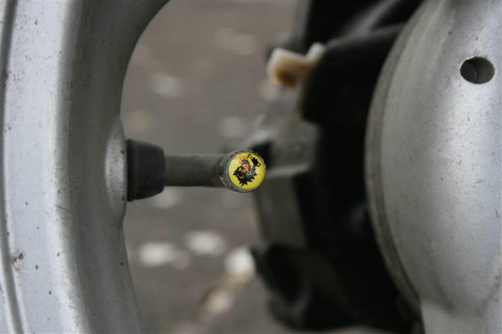 PGO Dr. Big - Malossi MHR billede 15