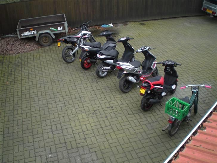 Gilera Runner AC billede 14