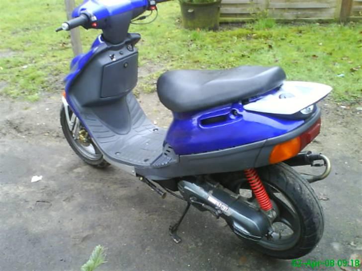 Adly silverfox solgt billede 1