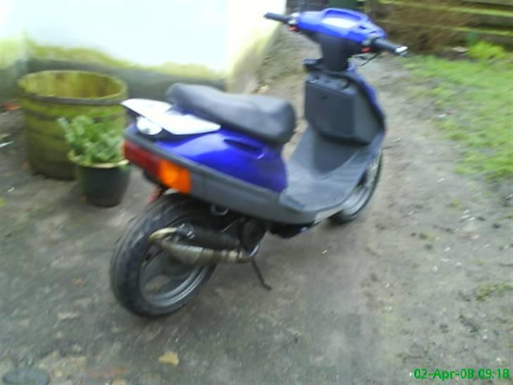 Adly silverfox solgt billede 2