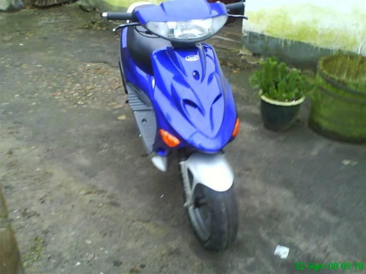 Adly silverfox solgt billede 3