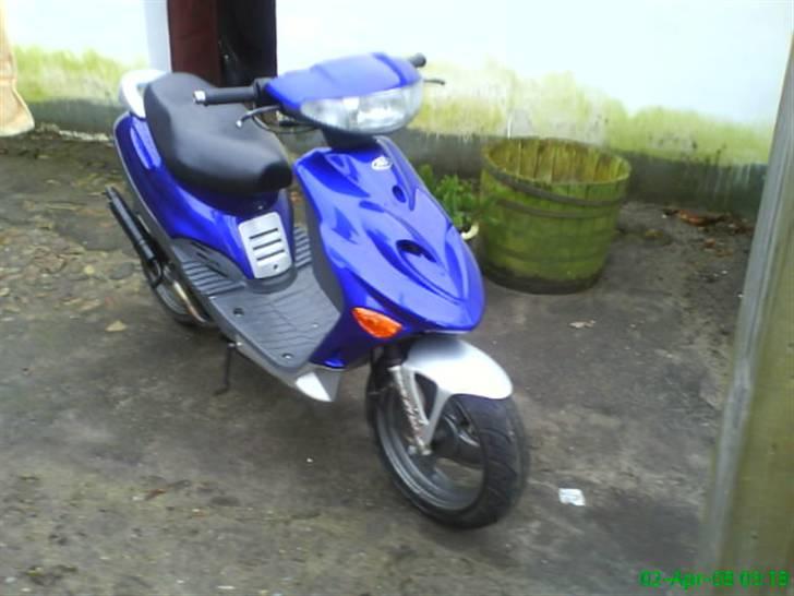 Adly silverfox solgt billede 4