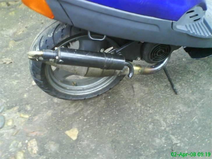 Adly silverfox solgt billede 6