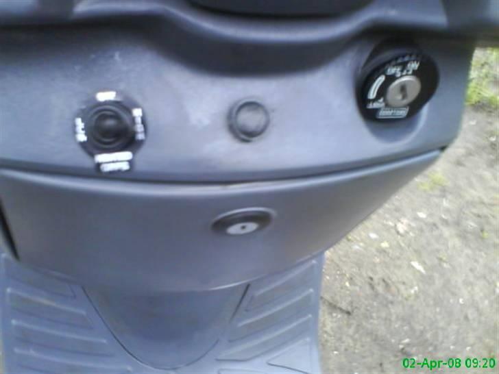 Adly silverfox solgt billede 8