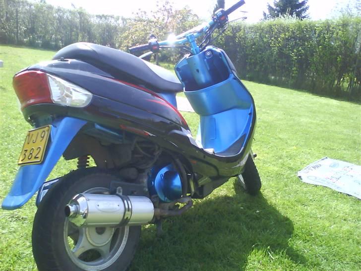 Texas Free 50/4 projekt sælges billede 12