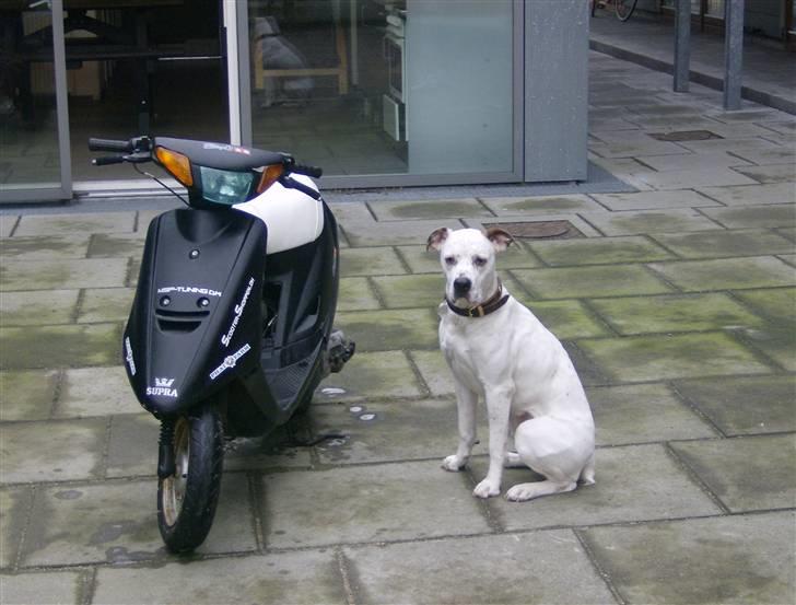 Yamaha Jog As //Byttet Til Jog\\ billede 1