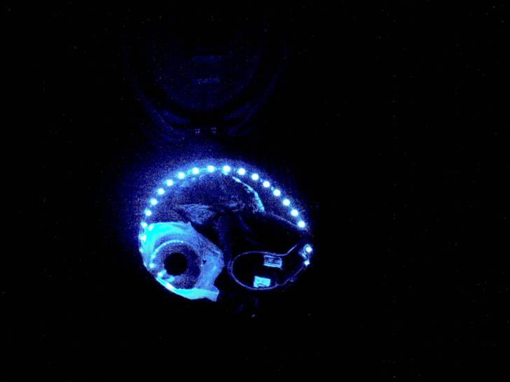 PGO Hot 50 solgt - boks under sæde billede 11