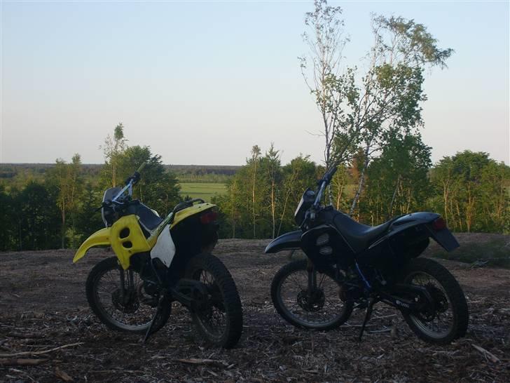 Suzuki RMX billede 3
