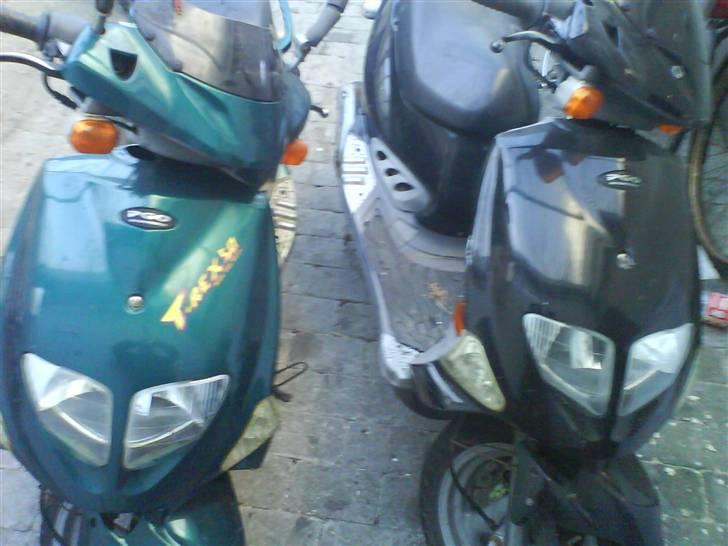 PGO T-Rex *byttet* billede 3