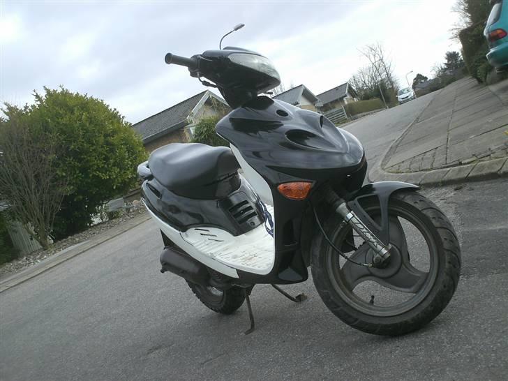 Adly silverfox billede 1