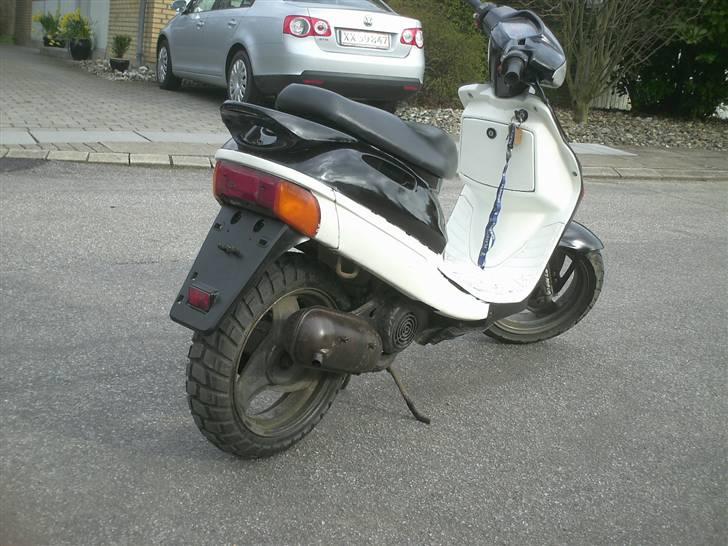 Adly silverfox billede 2