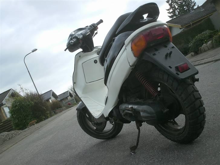 Adly silverfox billede 3