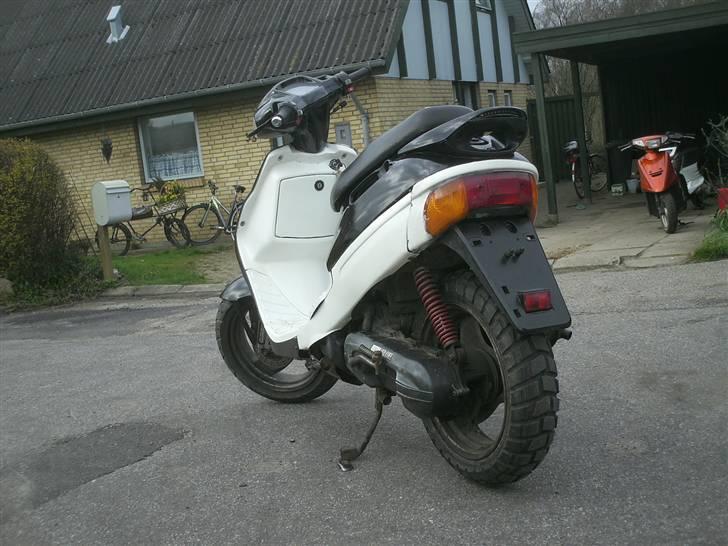 Adly silverfox billede 4