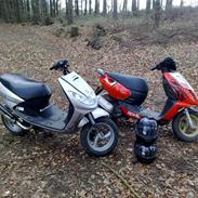 Peugeot vivacity s6r lc.(Solgt)