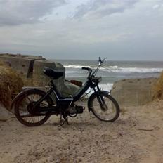 Puch maxi