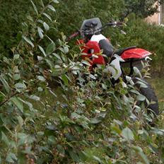 Suzuki smx<3 9850 hirtshals