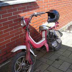 Suzuki Fz 50 (SOGLT )