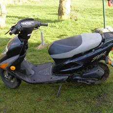 Honda SFX - Før Projekt !