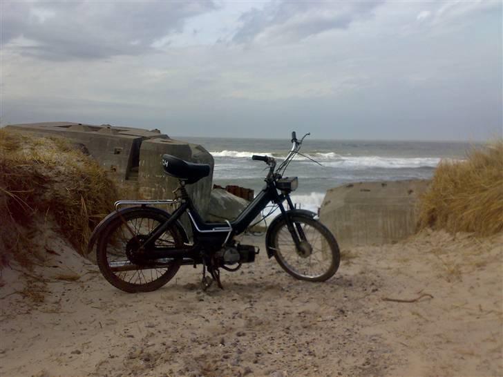 Puch maxi billede 1